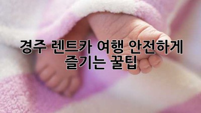 경주 렌트카 여행, 안전하게 즐기는 꿀팁! 🚗💨